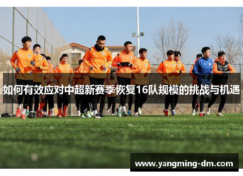 如何有效应对中超新赛季恢复16队规模的挑战与机遇