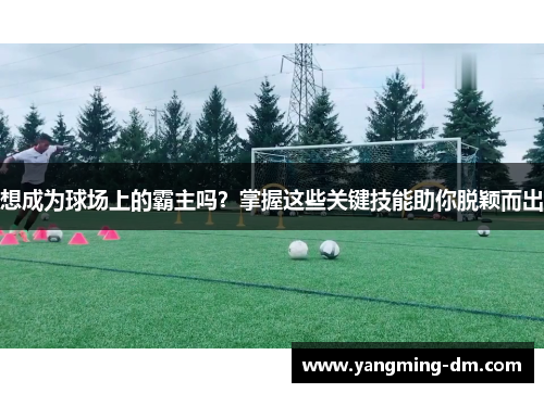 想成为球场上的霸主吗？掌握这些关键技能助你脱颖而出